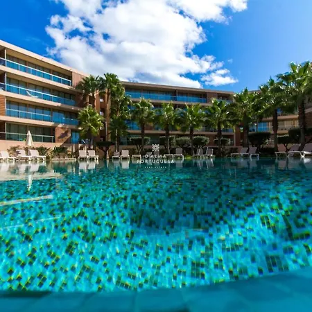 Salgados Dalma Palm *